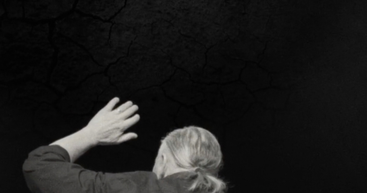 Michael Gira: I Wonder If I'm Singing What You're Thinking Me to Sing
